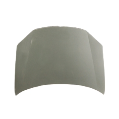 HOOD COMPATIBLE WITH VOLKSWAGEN GOLF V 2003-2008