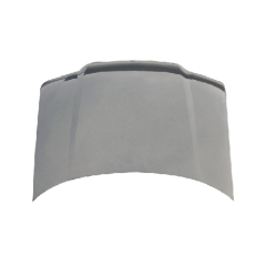 HOOD COMPATIBLE WITH VOLKSWAGEN BORA 2001-2006