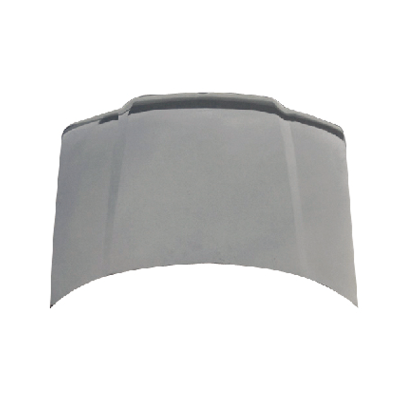 HOOD COMPATIBLE WITH VOLKSWAGEN BORA 2001-2006