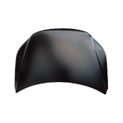 HOOD COMPATIBLE WITH VOLKSWAGEN TIGUAN 2012-