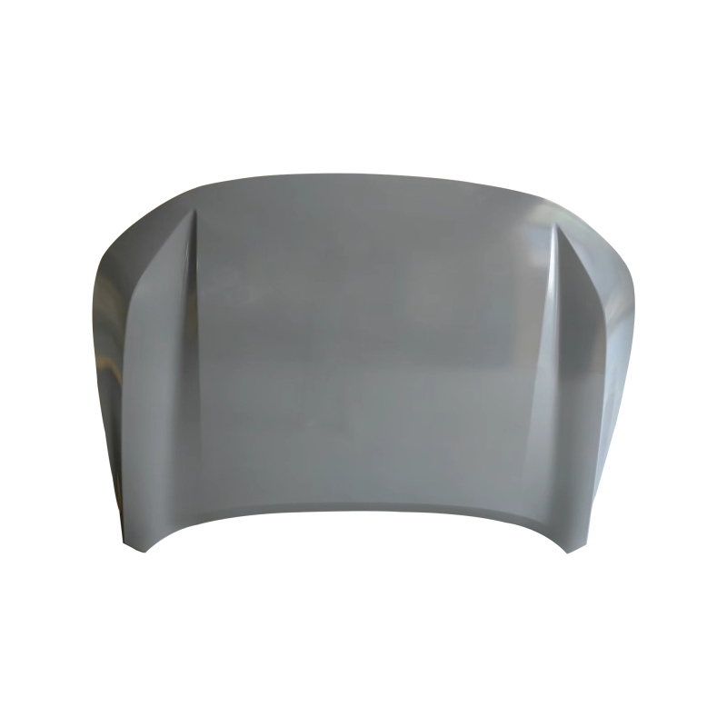 HOOD COMPATIBLE WITH CHERY EXEED LX