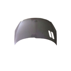 HOOD COMPATIBLE WITH PEUGEOT 206