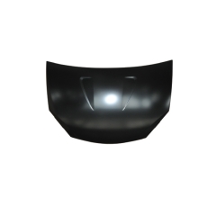 HOOD COMPATIBLE WITH RENAULT SANDERO STEPWAY 2009