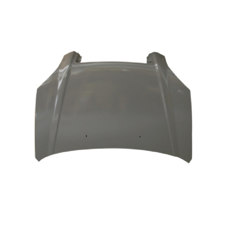 HOOD COMPATIBLE WITH HYUNDAI TUCSON 2003