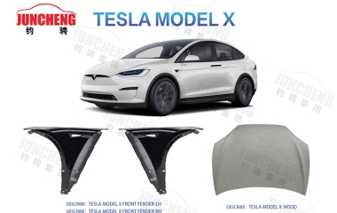 Model X: Innovation in new energy