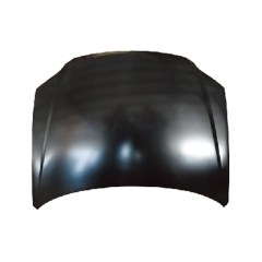 BORA(08-09)HOOD COMPATIBLE WITH VOLKSWAGEN BORA 2009